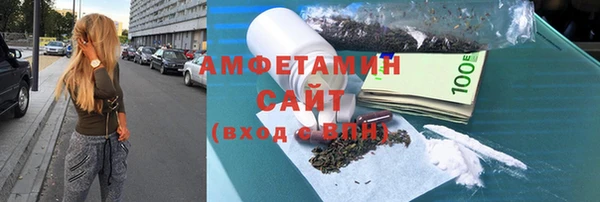 прущие грибы Богданович