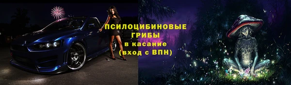 СК Белокуриха