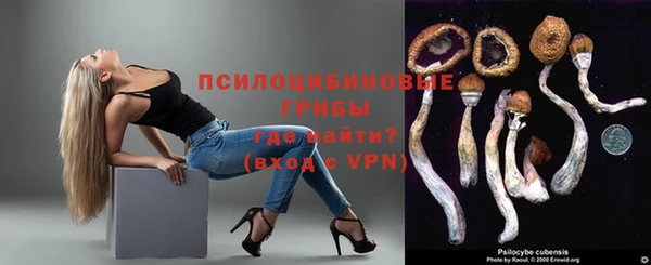 СК Белокуриха