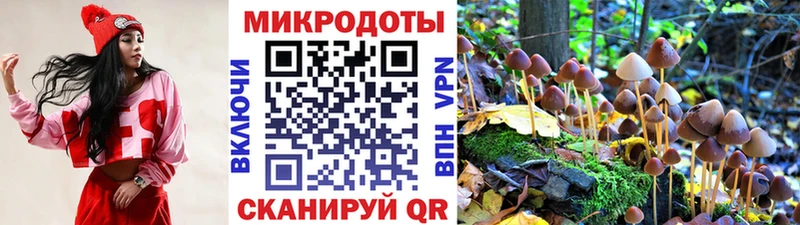 Галлюциногенные грибы Cubensis  Купить  Духовщина 